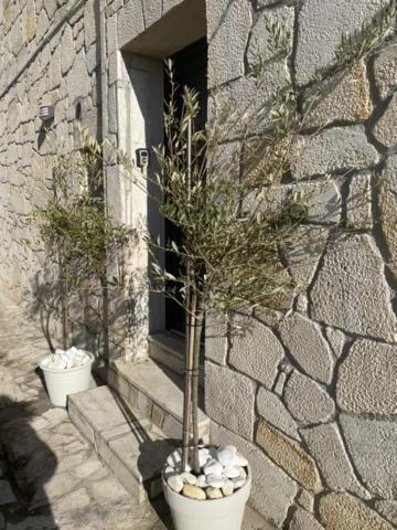Afytos Sea View Appartement Buitenkant foto